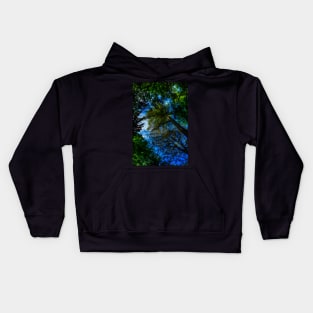 Looking Up In Lumley Park Wood Kids Hoodie